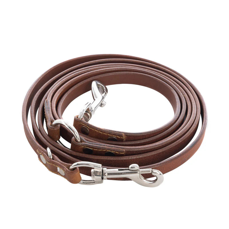 Myra Bag Viaje Dog Leash in Caramel