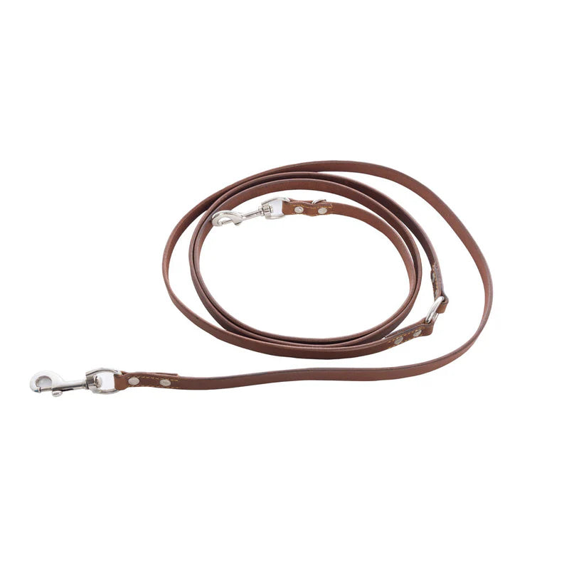 Myra Bag Viaje Dog Leash in Caramel