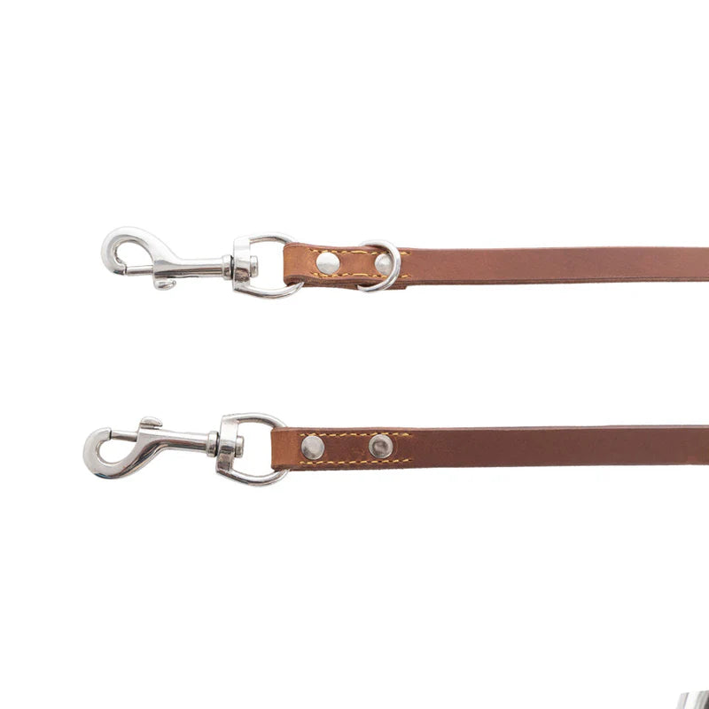 Myra Bag Viaje Dog Leash in Caramel