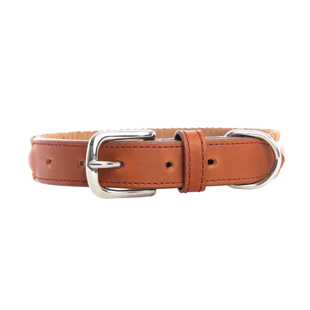 Myra Bag Rio Correr Dog Collar in Caramel