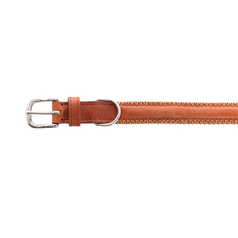 Myra Bag Rio Correr Dog Collar in Caramel